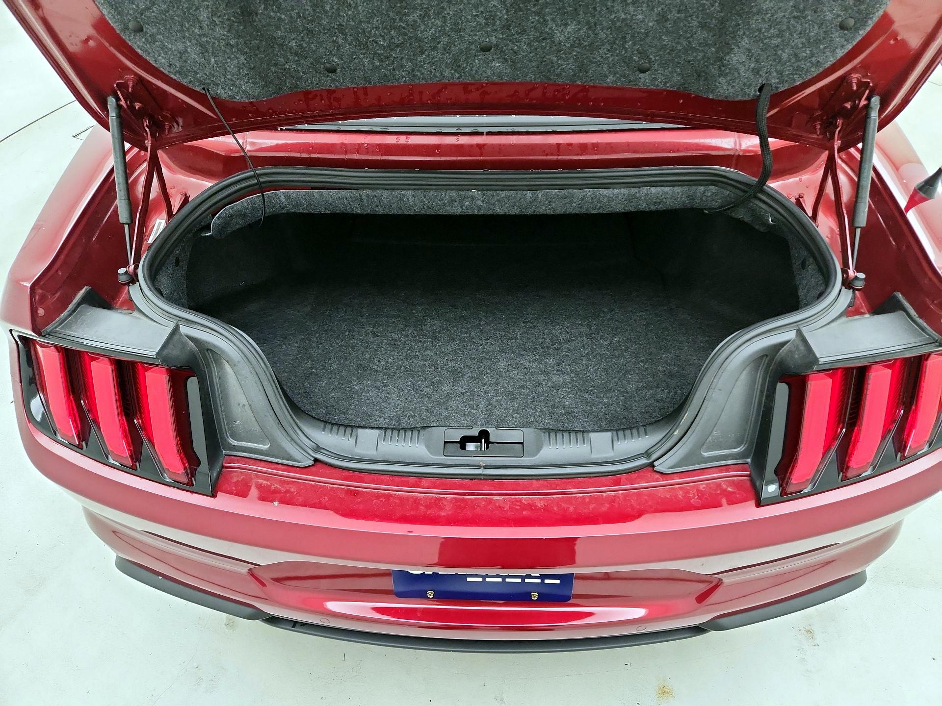 Thumbnail: 2019 Ford Mustang - 16