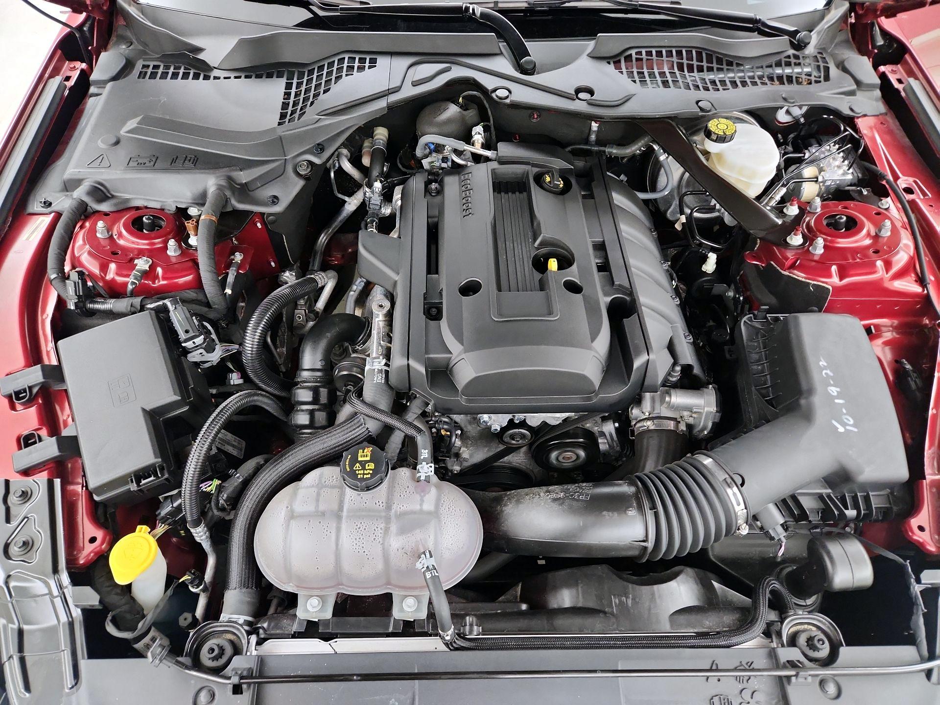 Thumbnail: 2019 Ford Mustang - 17