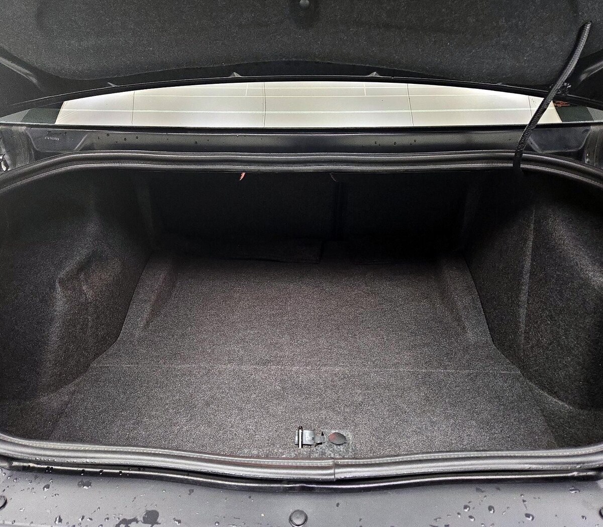 Trunk/Cargo (Seats Up)