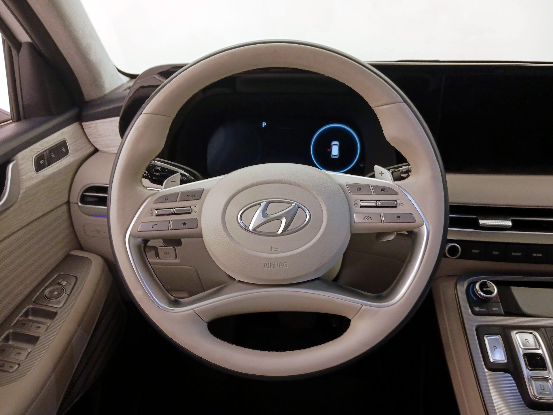 Thumbnail: 2023 Hyundai Palisade - 10