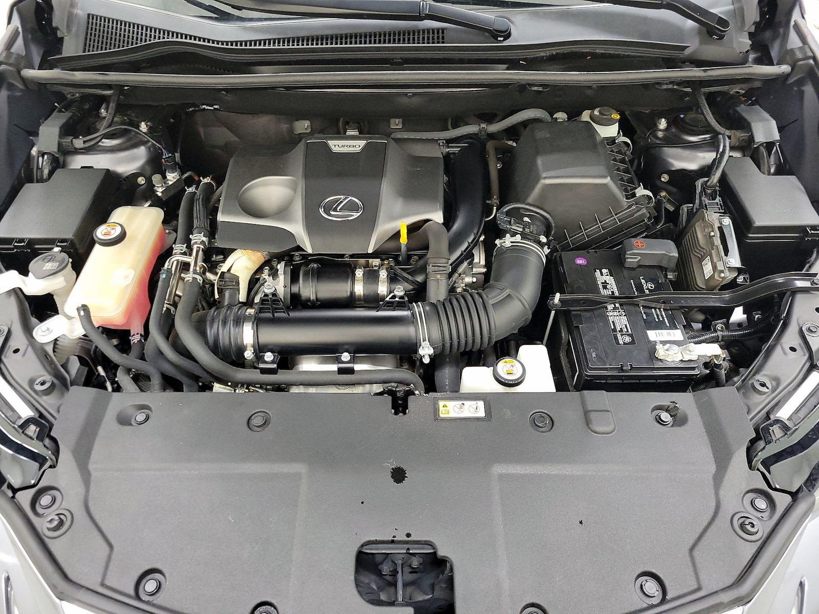 2020 Lexus NX 300 - Photo 22