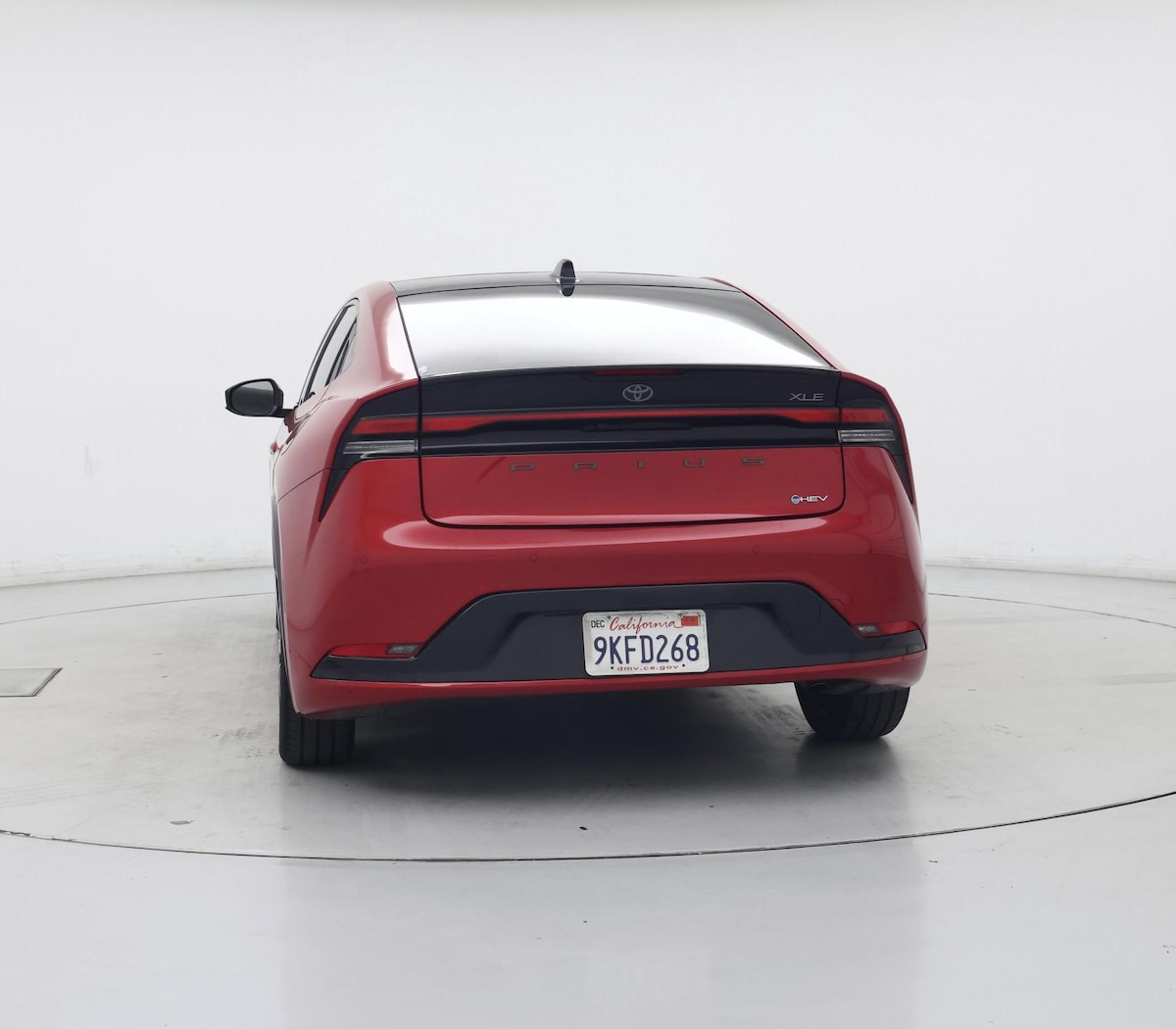 Rear