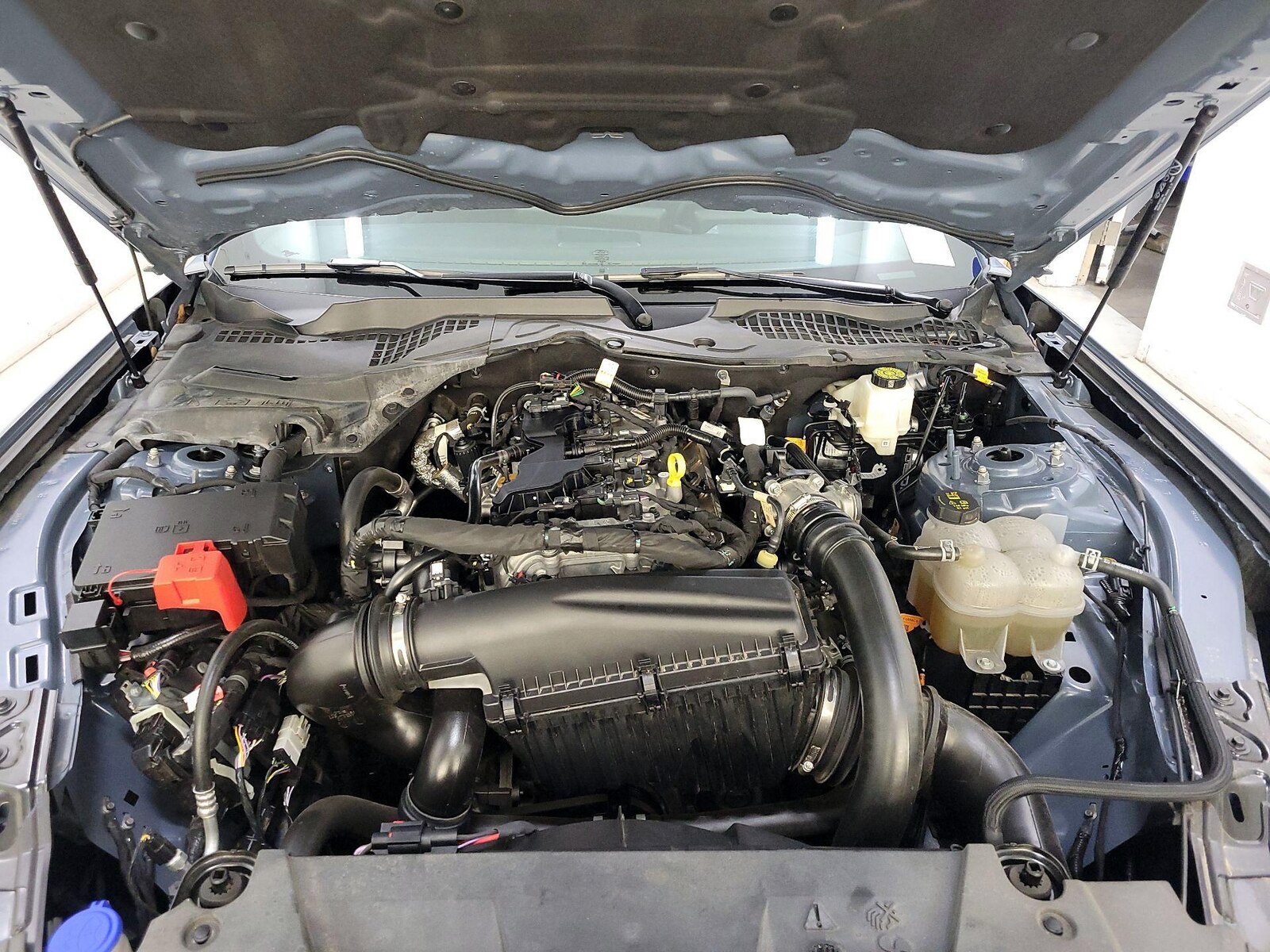 2025 Ford Mustang EcoBoost - Photo 22