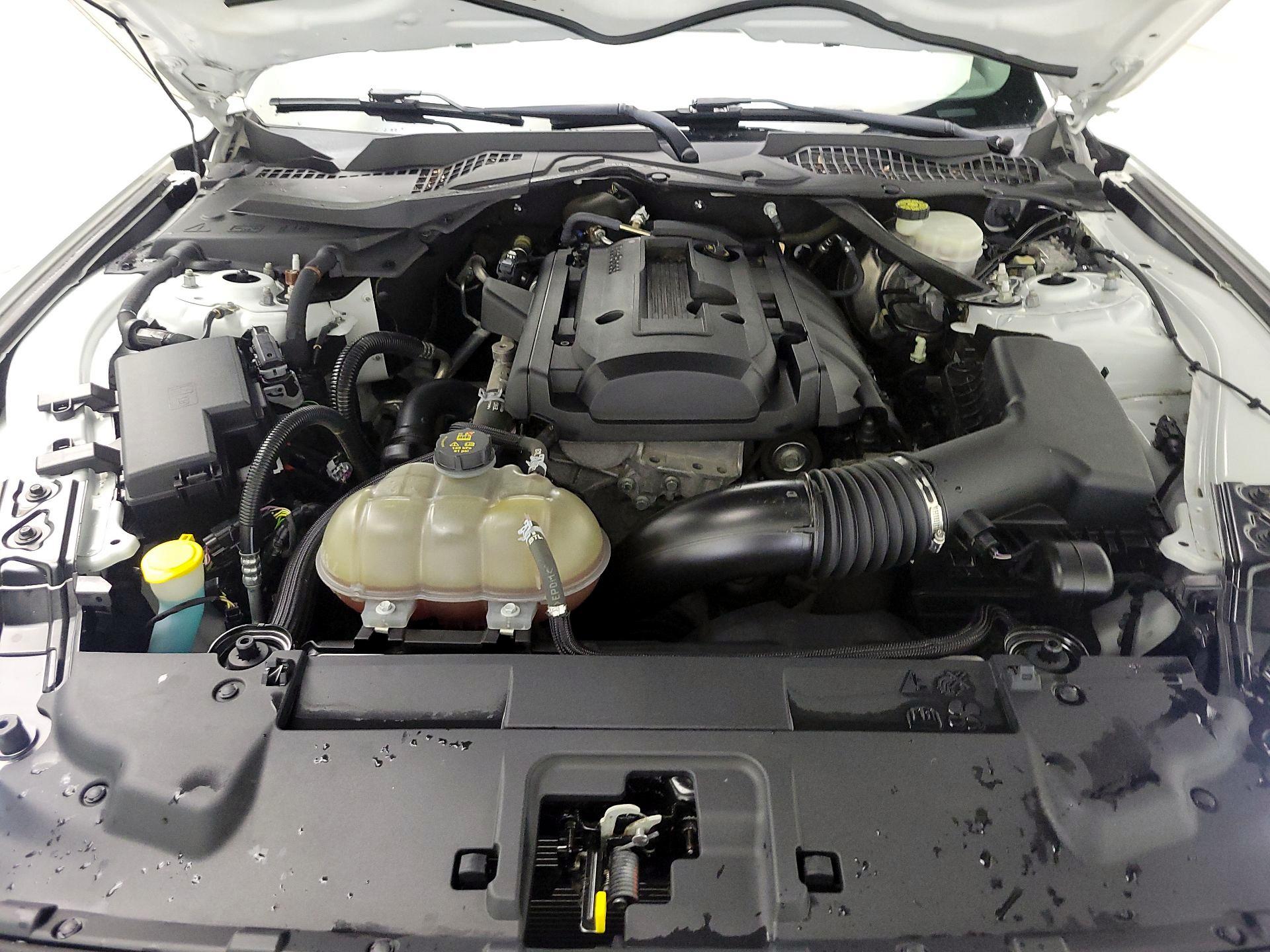 Thumbnail: 2018 Ford Mustang - 19