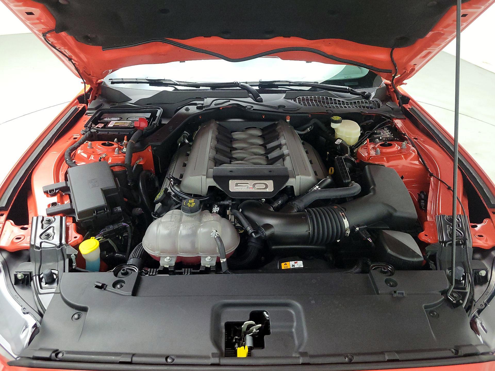 Thumbnail: 2016 Ford Mustang - 19