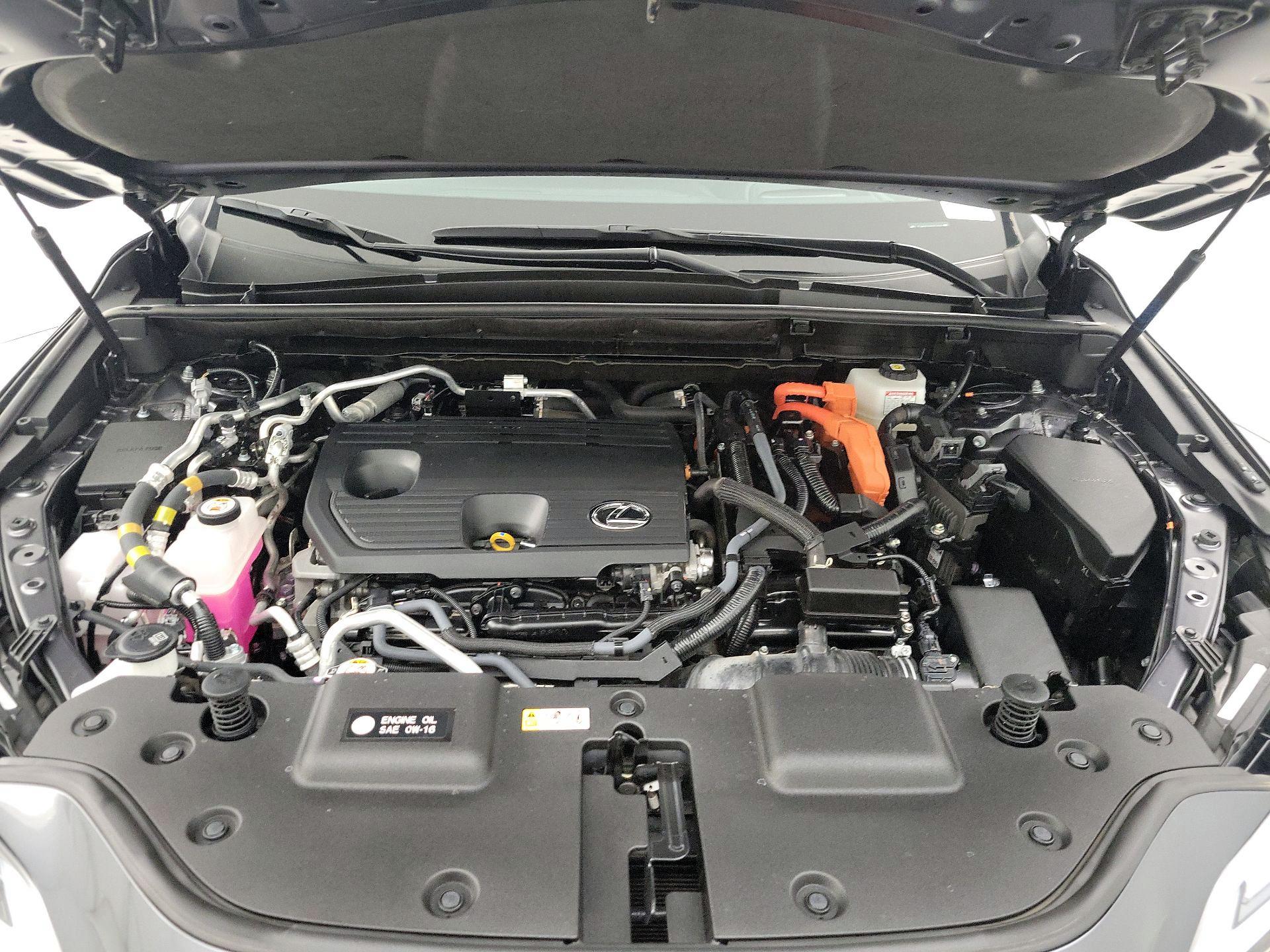 Thumbnail: 2024 Lexus NX - 20