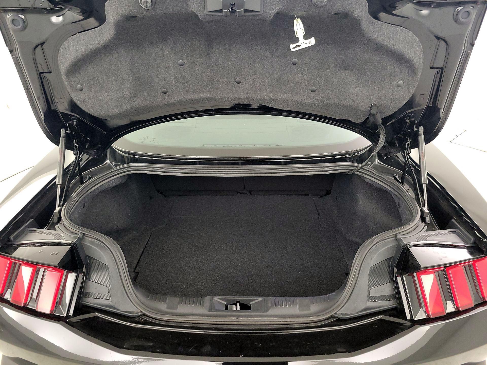 Thumbnail: 2025 Ford Mustang - 20