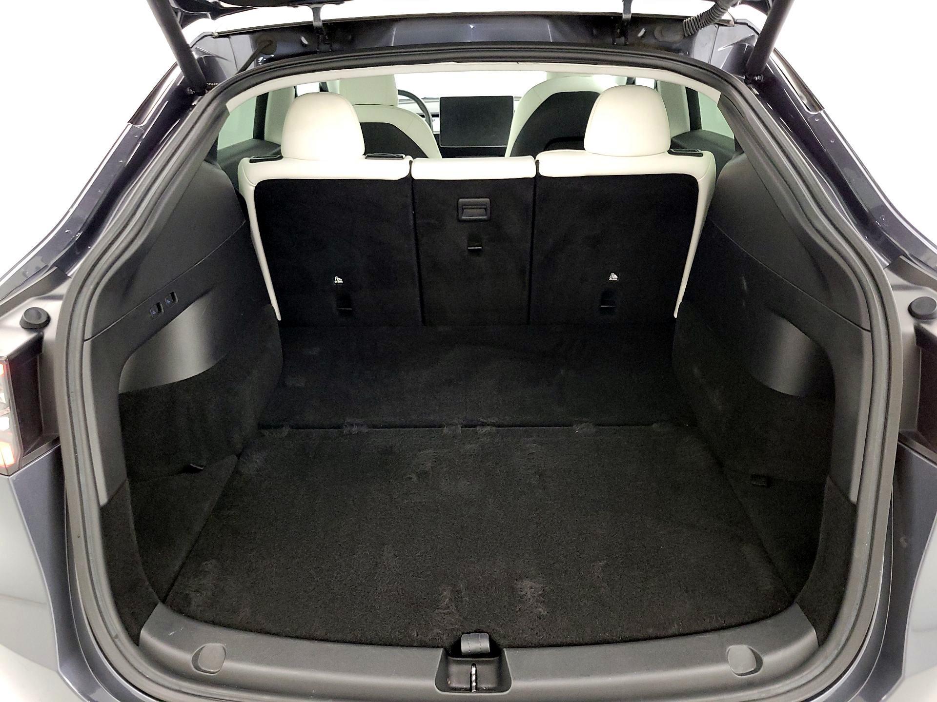 Thumbnail: 2021 Tesla Model Y - 20