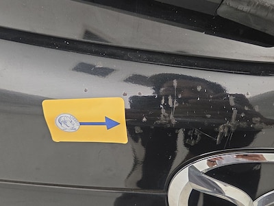 Condition detail