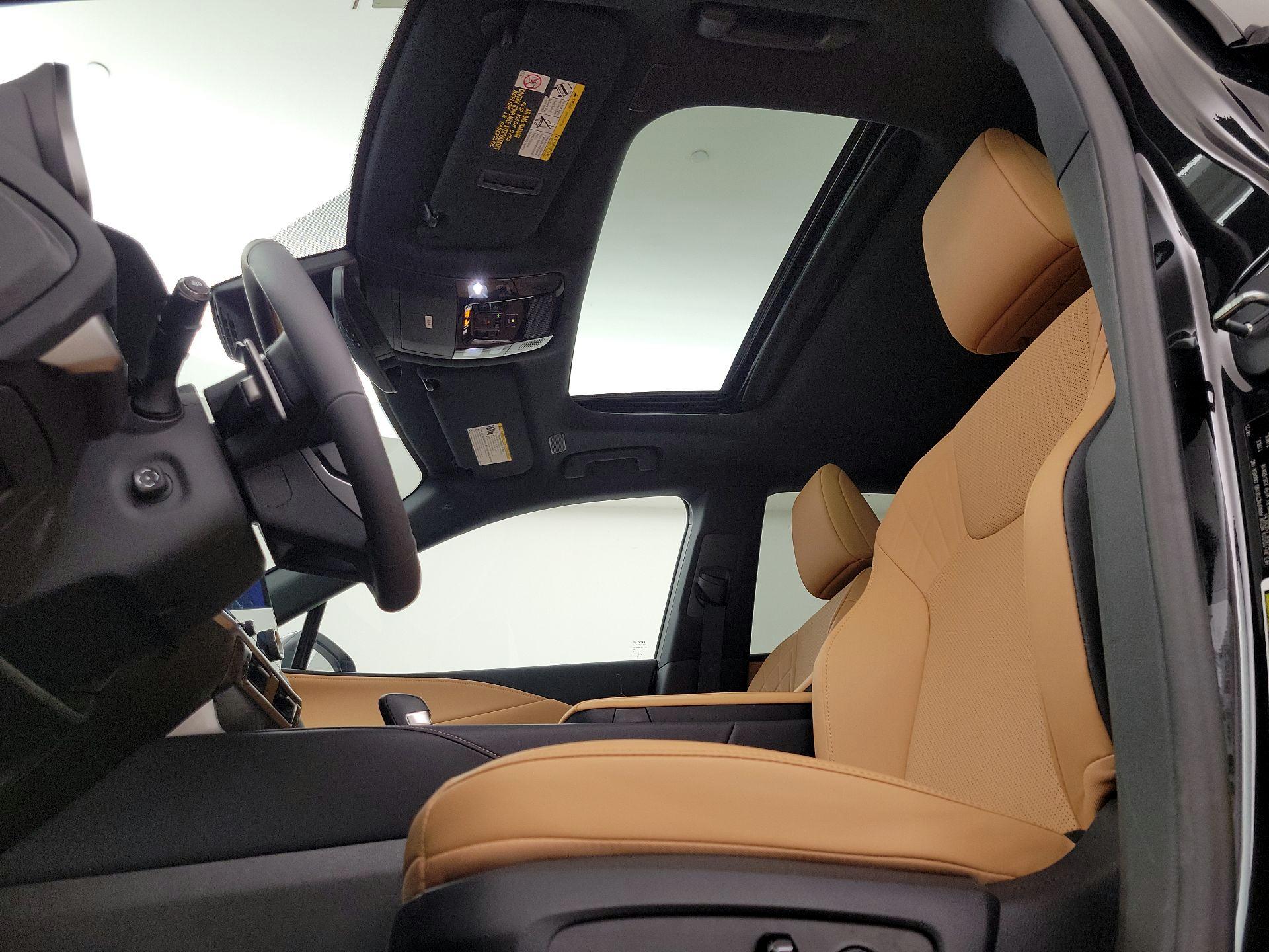 Thumbnail: 2025 Lexus RX - 19