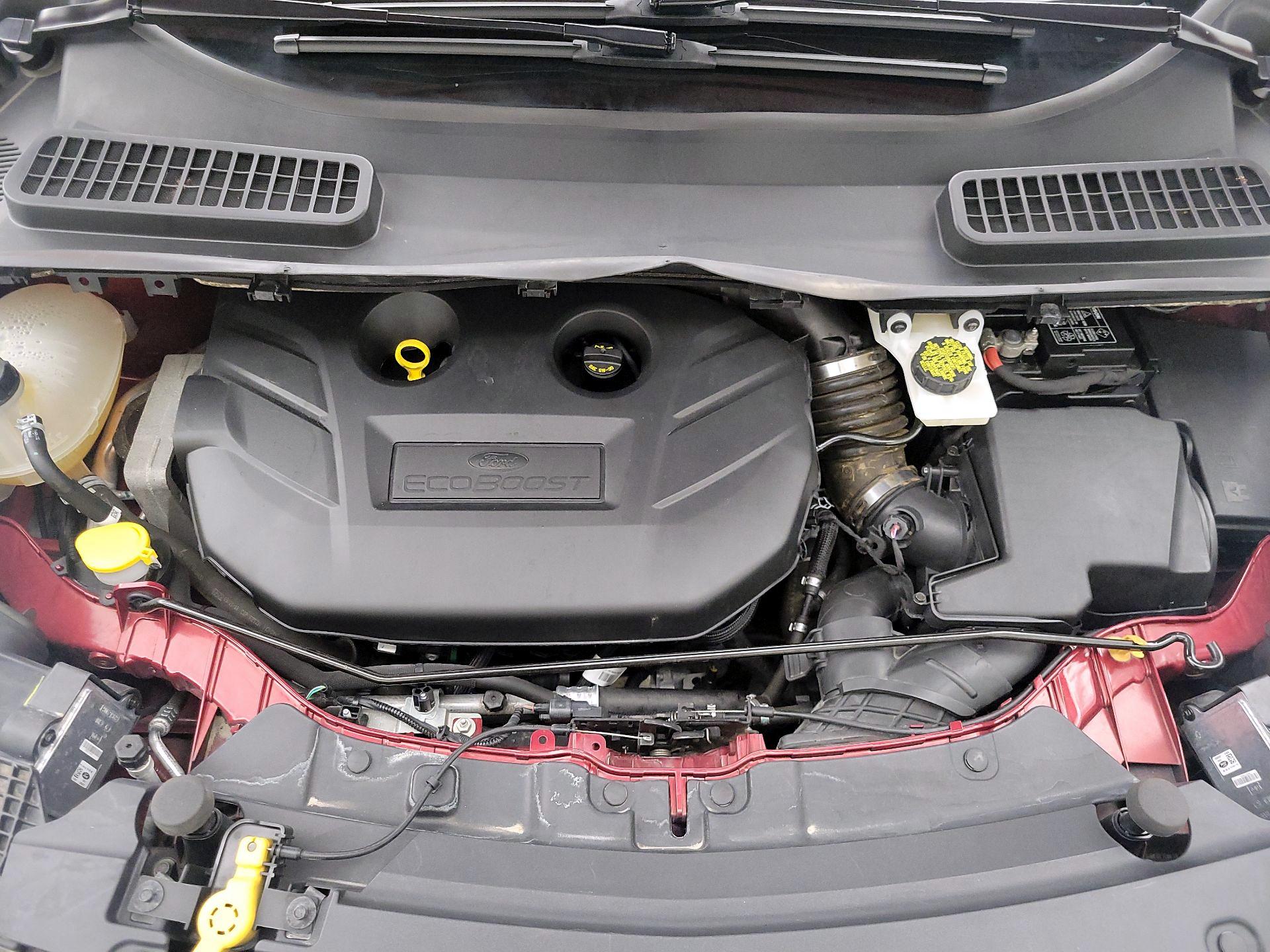 Thumbnail: 2019 Ford Escape - 20