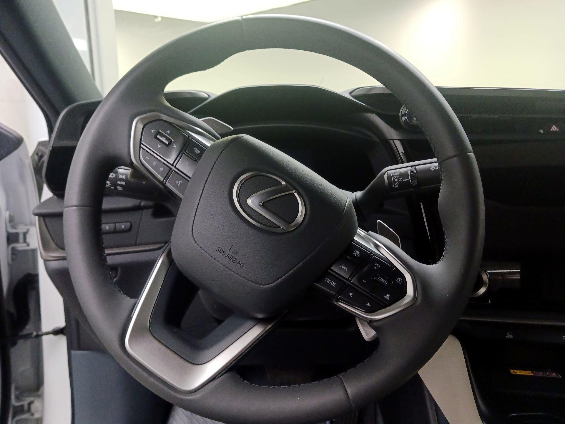 Thumbnail: 2025 Lexus RZ - 10