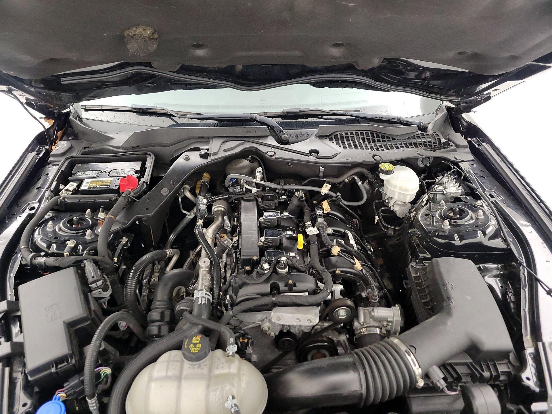 Thumbnail: 2023 Ford Mustang - 17