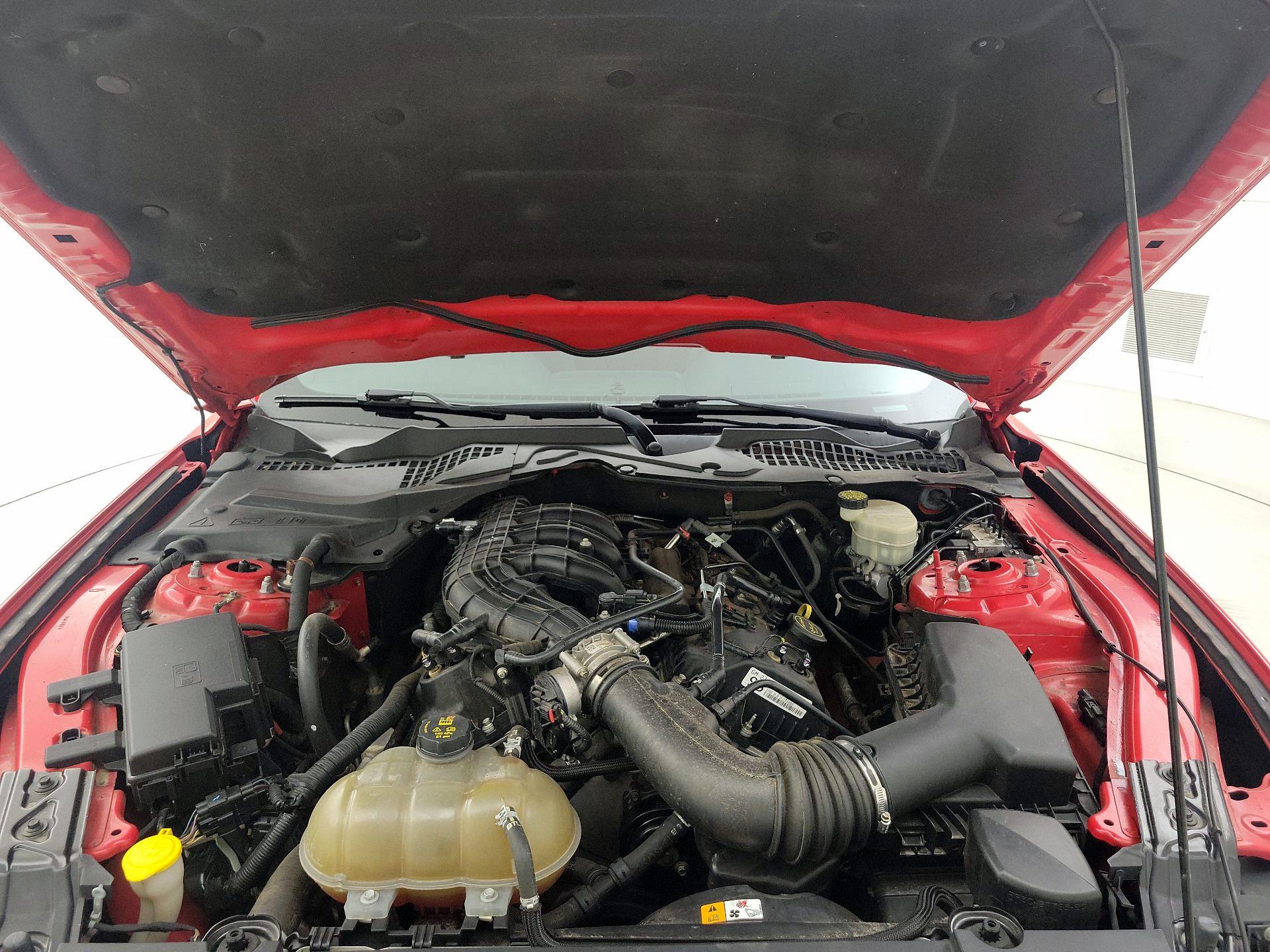 Thumbnail: 2016 Ford Mustang - 20