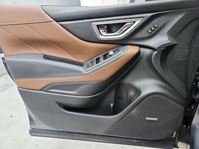 Driver Door Panel