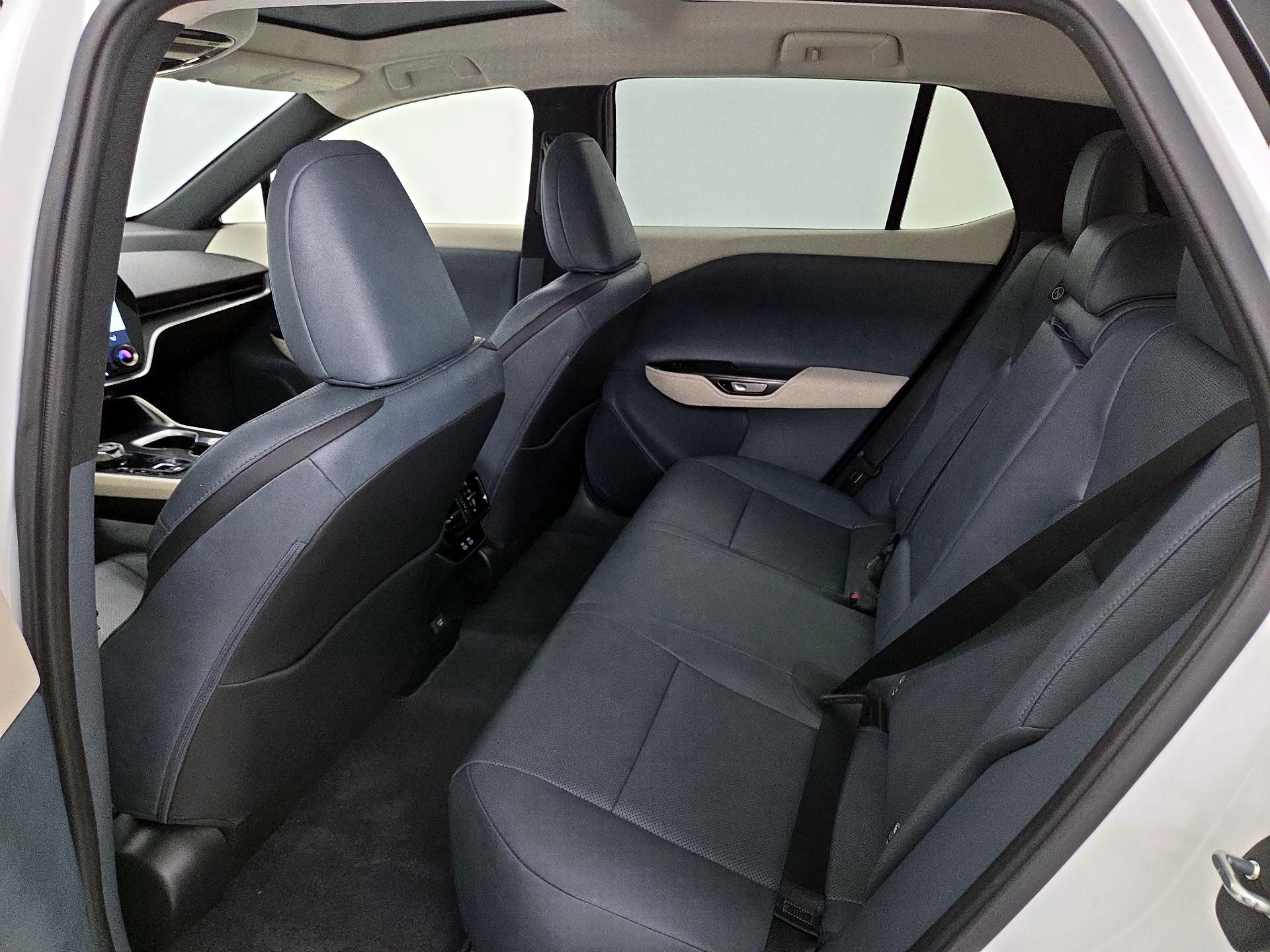 Thumbnail: 2023 Lexus RZ - 20