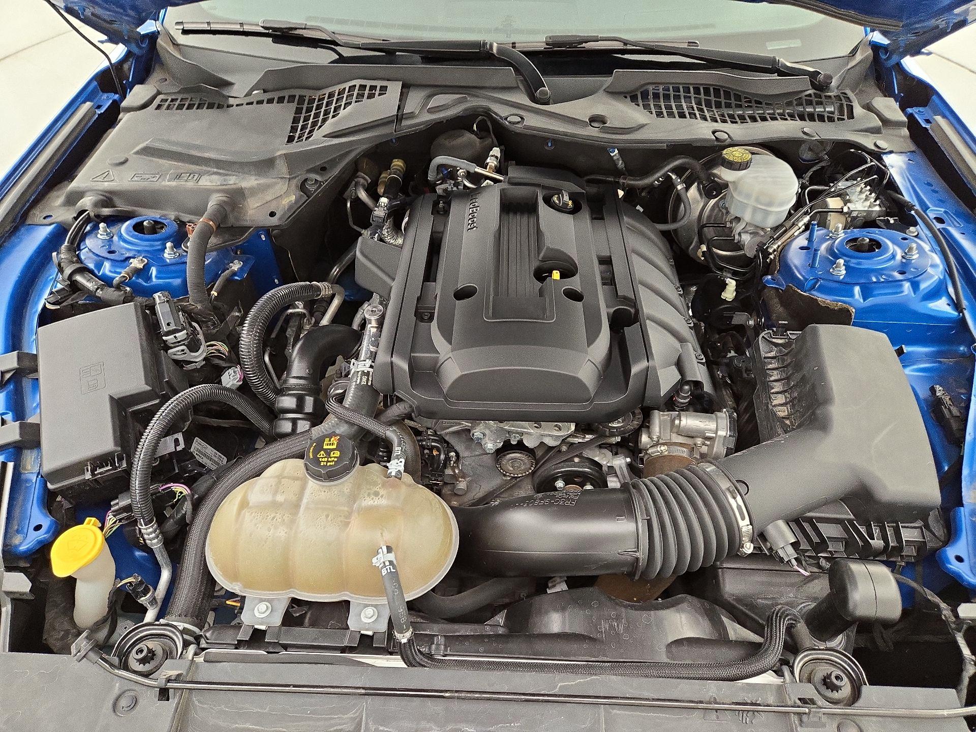 Thumbnail: 2019 Ford Mustang - 20