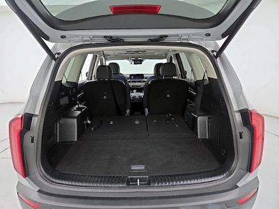 Trunk/Cargo (Seats Down)