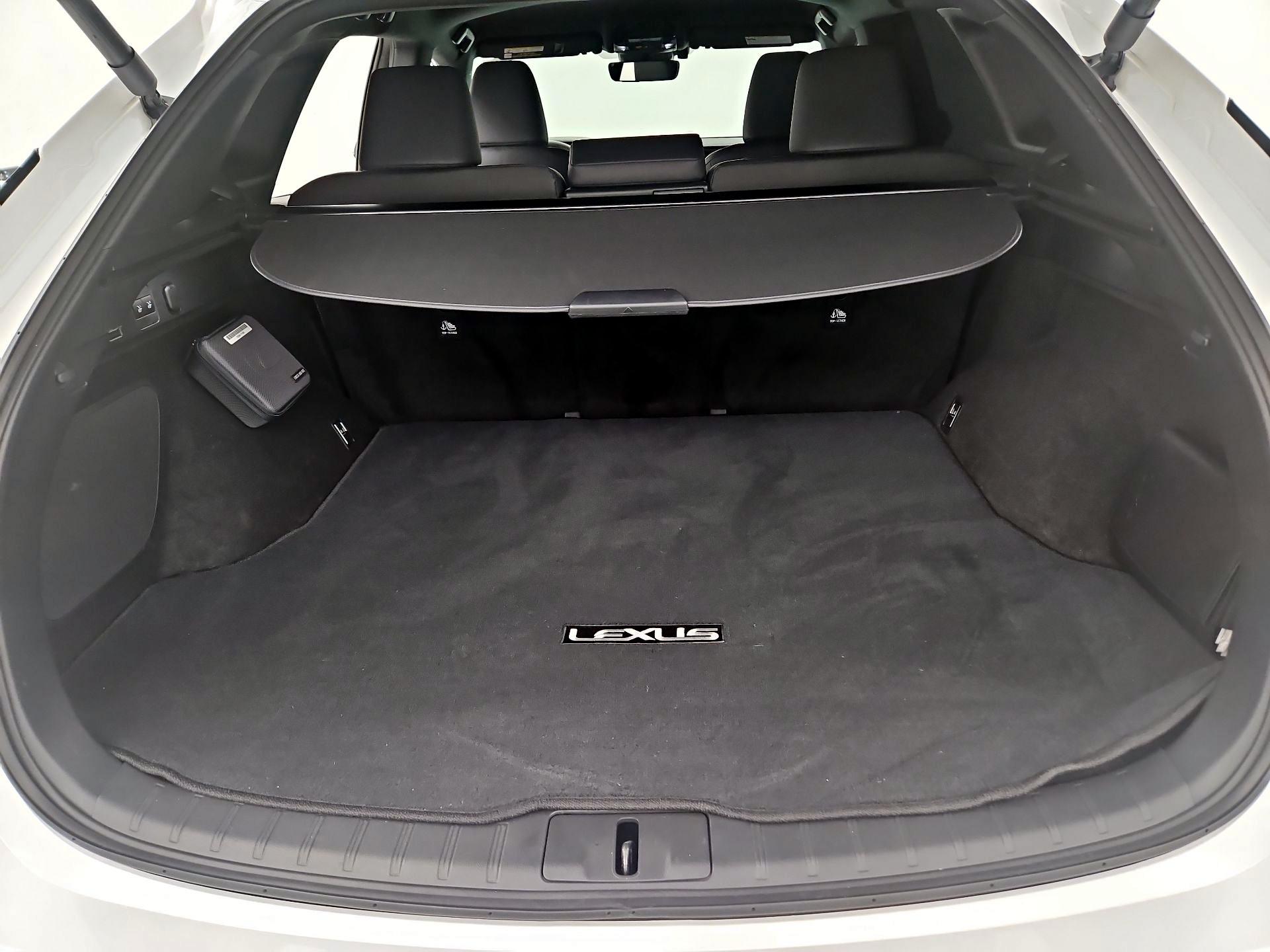 Thumbnail: 2025 Lexus RX - 20