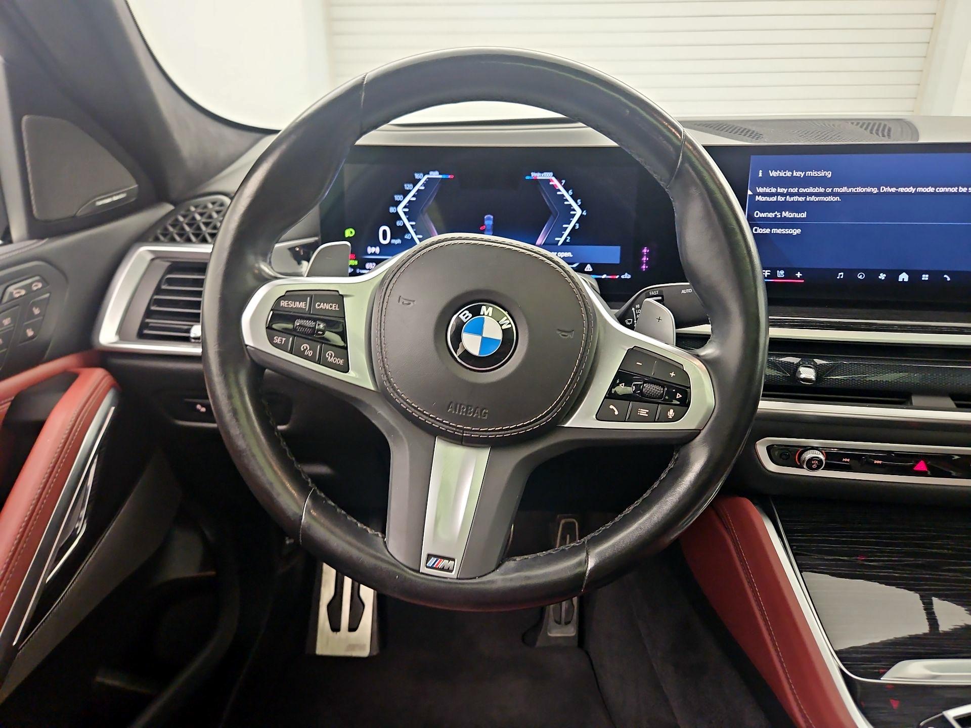 Thumbnail: 2024 BMW X6 - 10