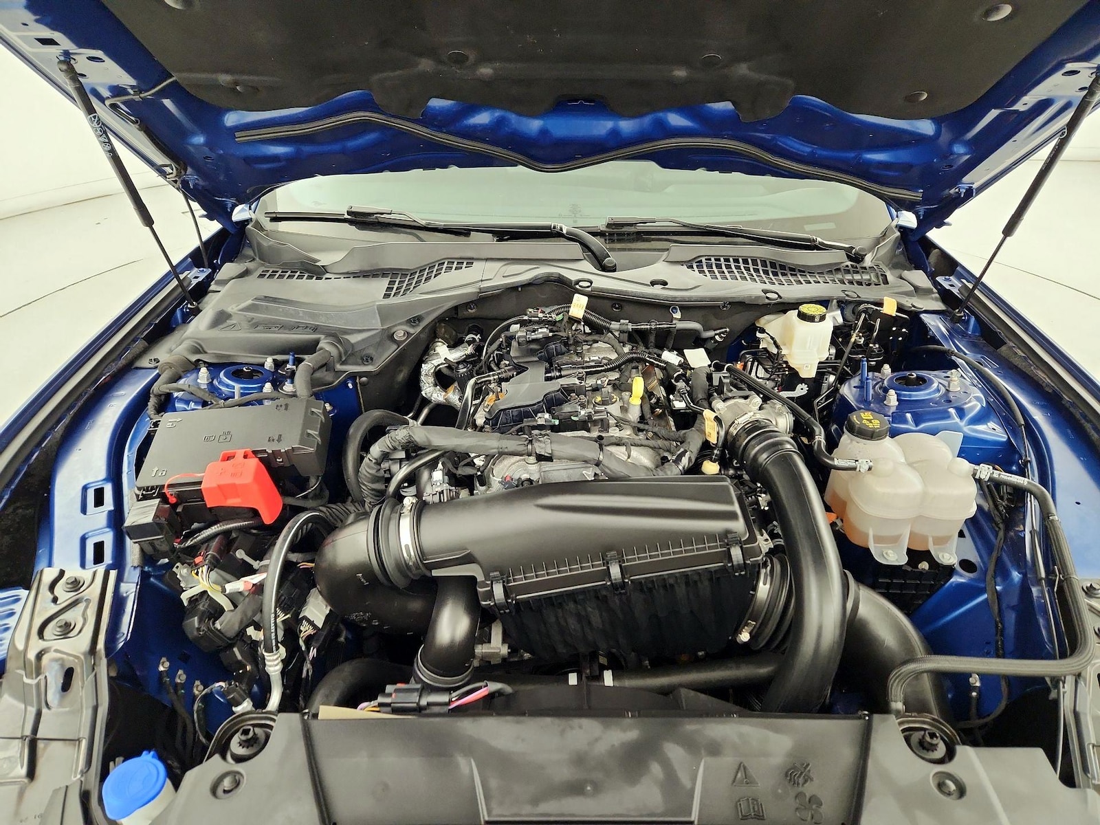 2024 Ford Mustang EcoBoost - Photo 22