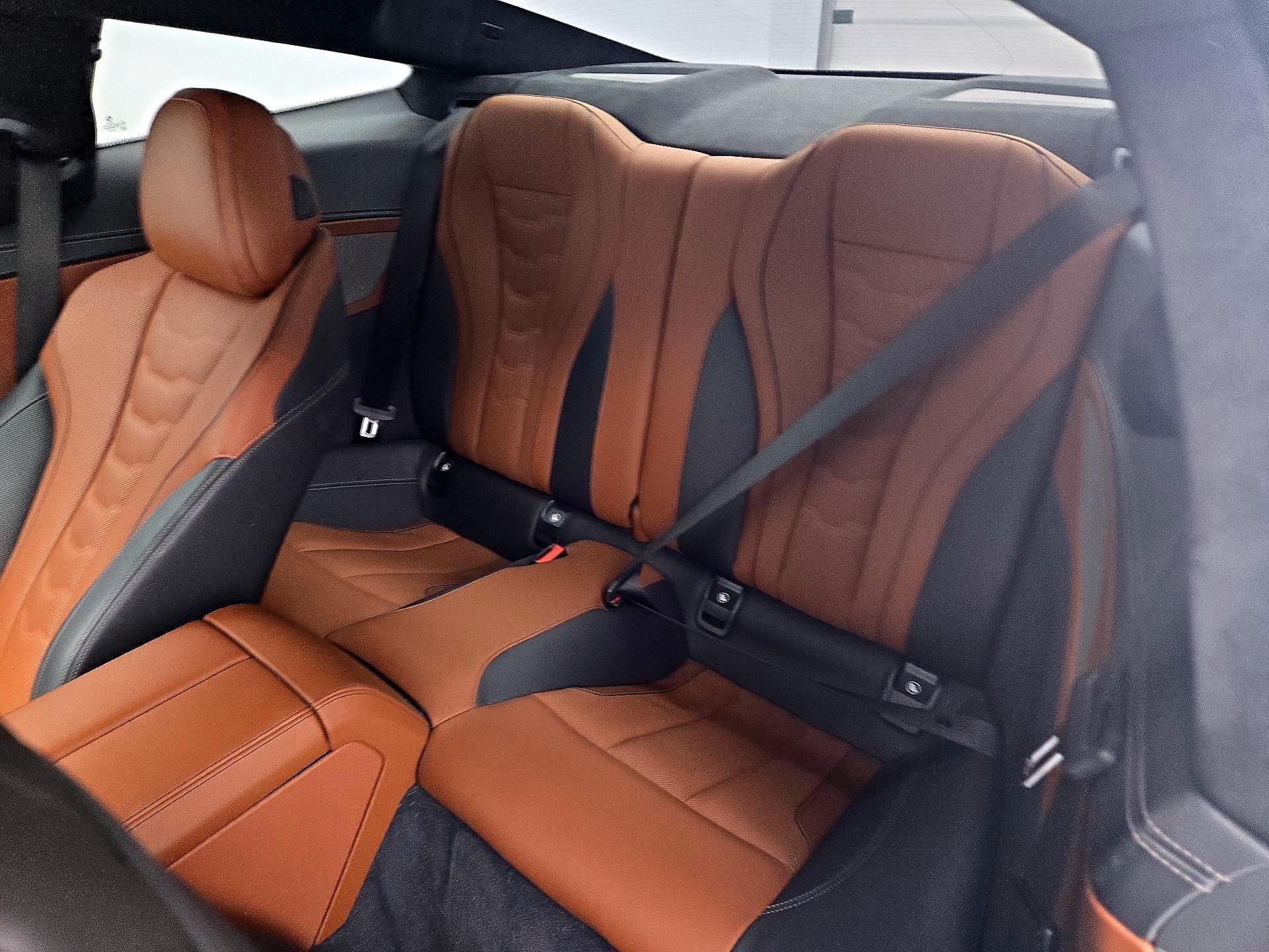 Thumbnail: 2019 BMW 8 Series - 20