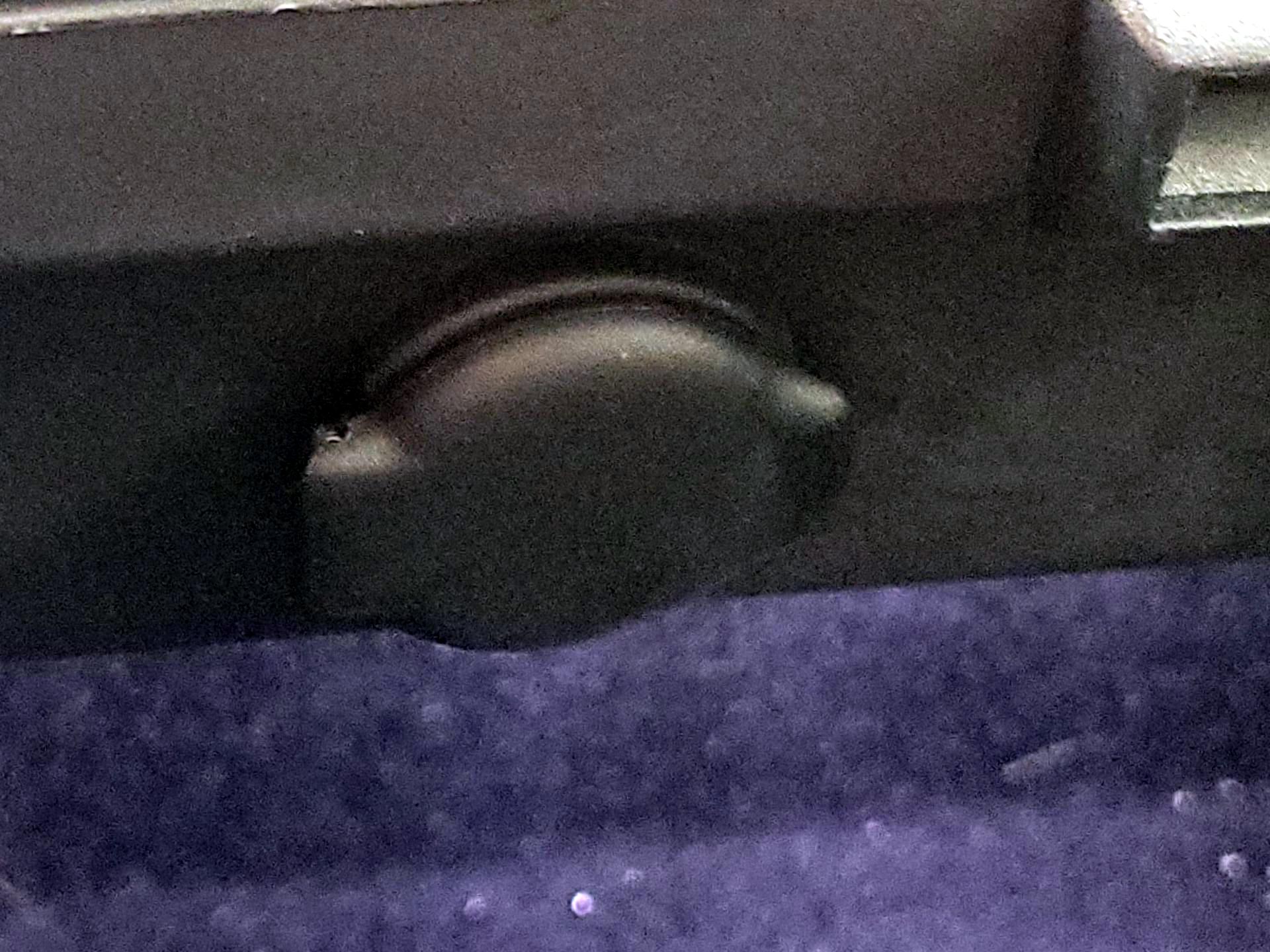 Thumbnail: 2020 Tesla Model Y - 18