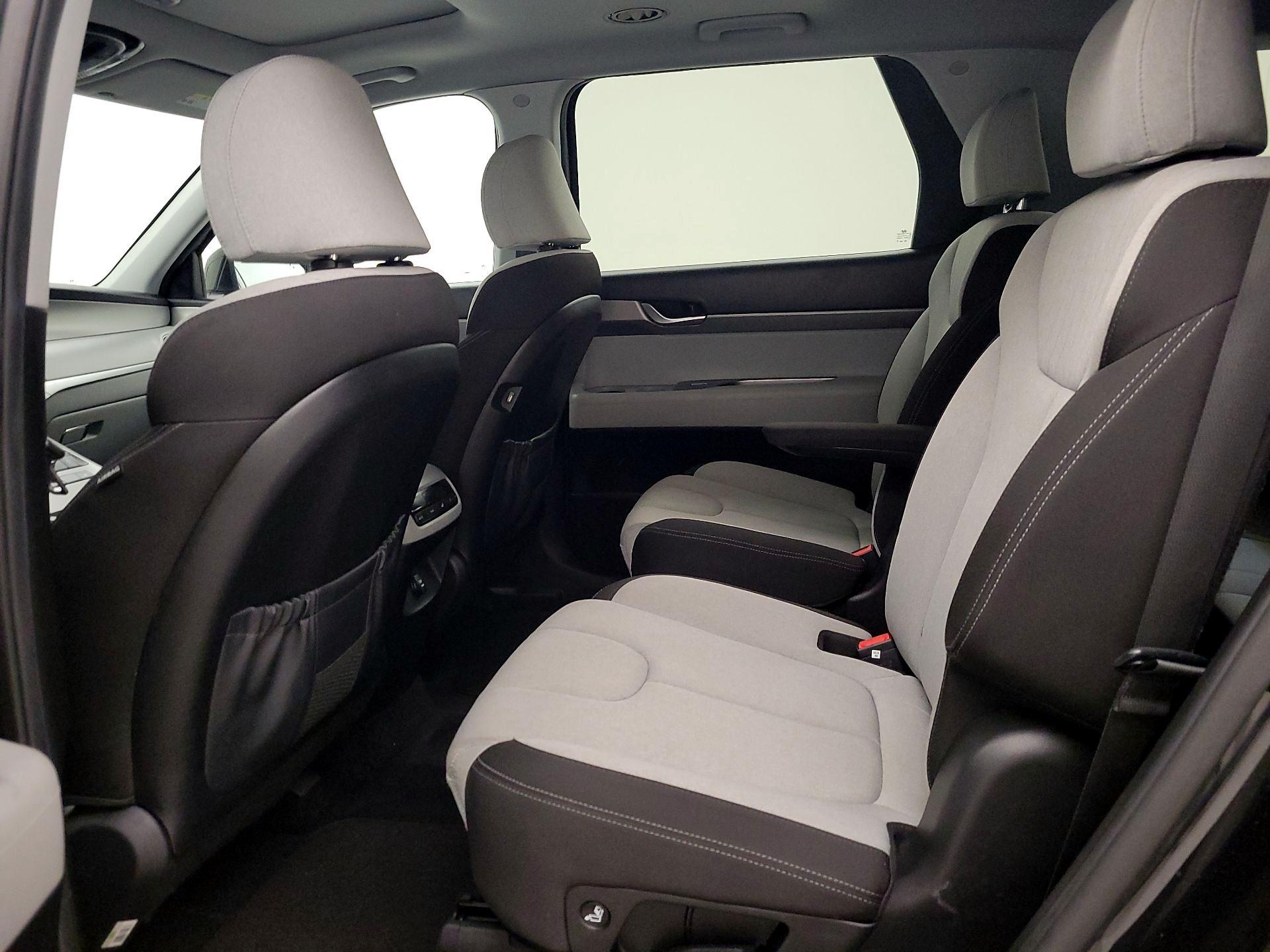 Thumbnail: 2020 Hyundai Palisade - 20