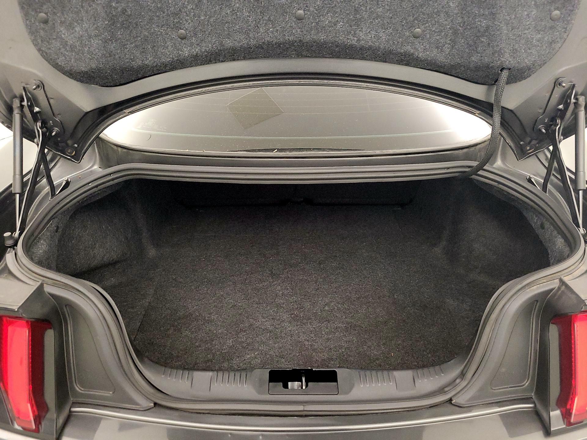 Thumbnail: 2019 Ford Mustang - 20