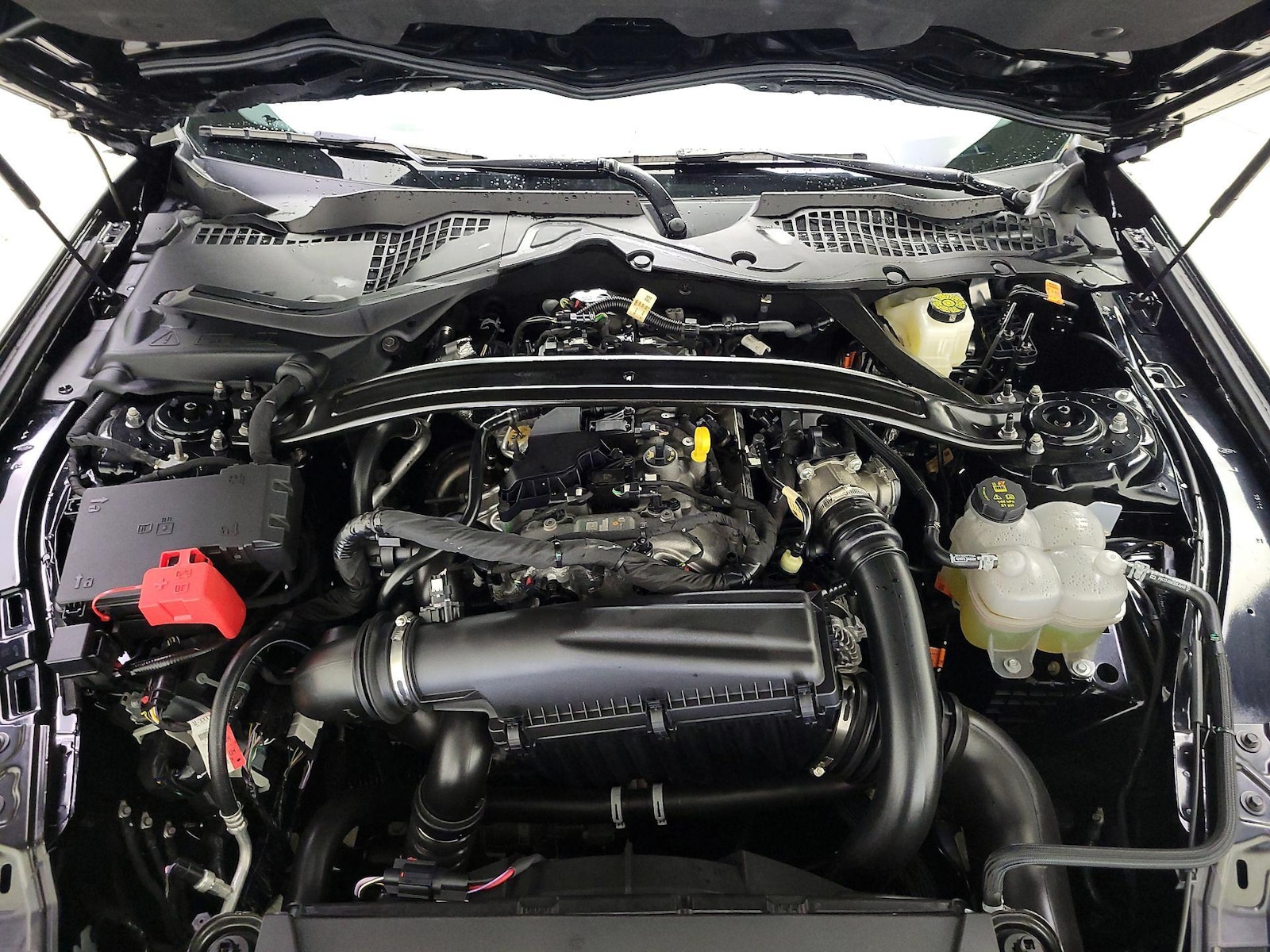 2025 Ford Mustang EcoBoost Premium - Photo 23