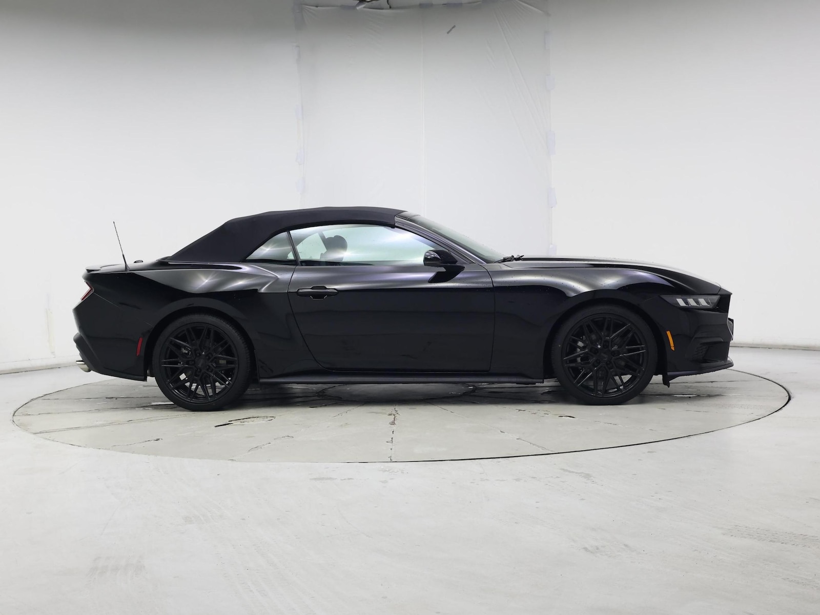 2025 Ford Mustang EcoBoost Premium - Photo 8