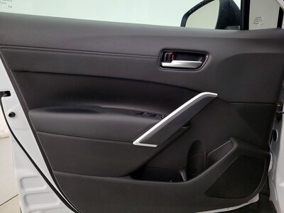 Driver Door Panel