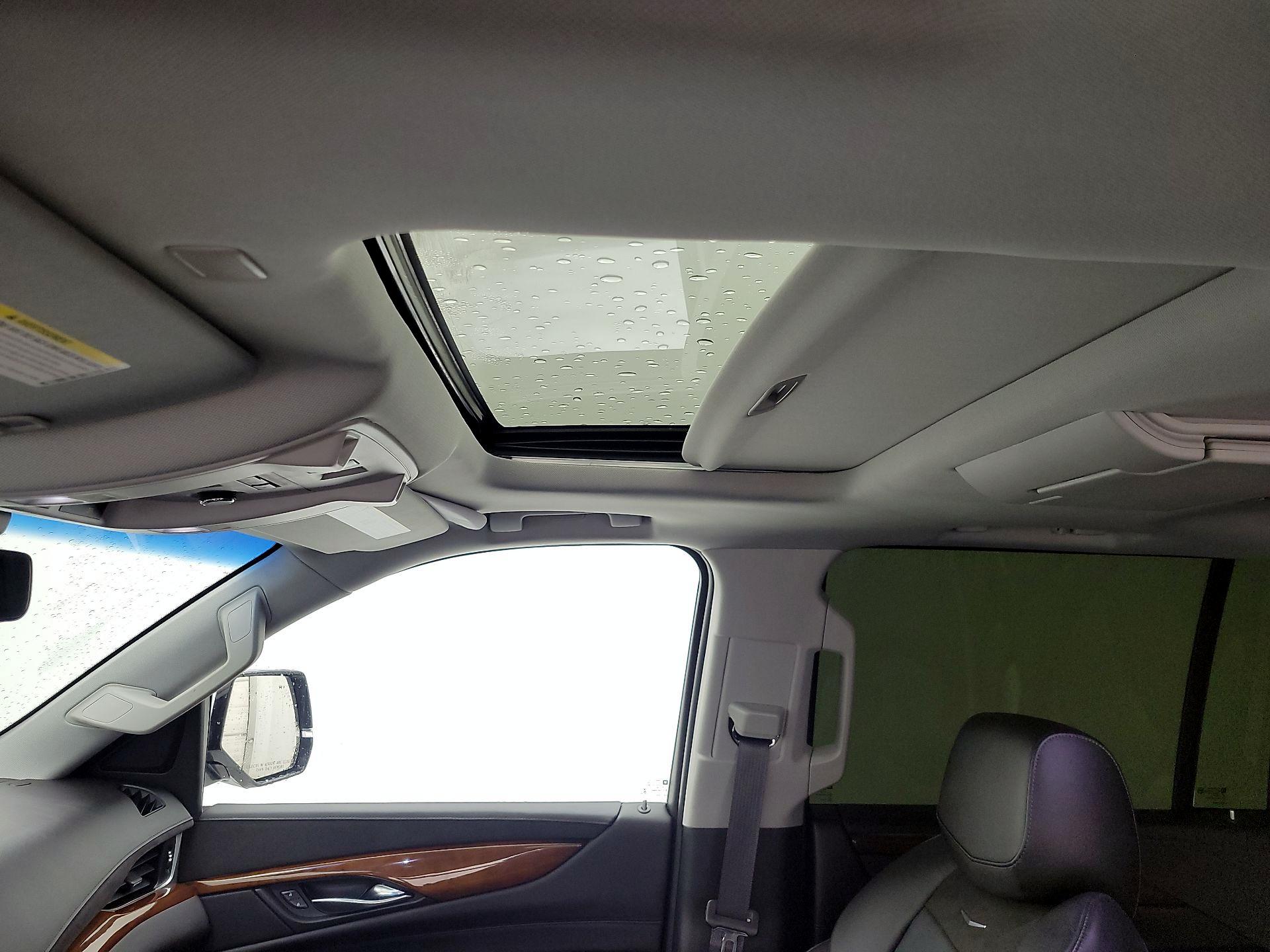 Thumbnail: 2017 Cadillac Escalade - 19