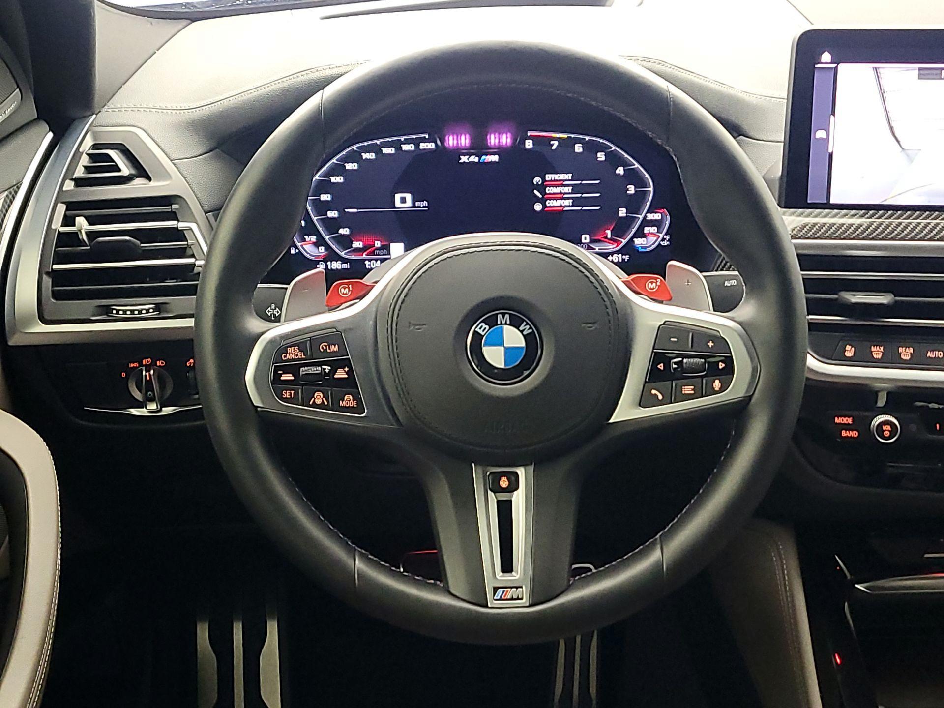 Thumbnail: 2025 BMW X4 - 10