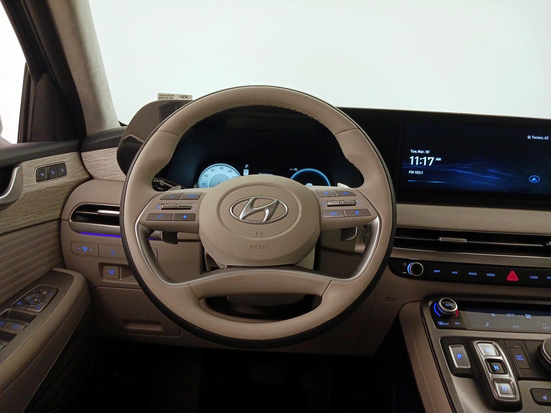 Thumbnail: 2025 Hyundai Palisade - 10