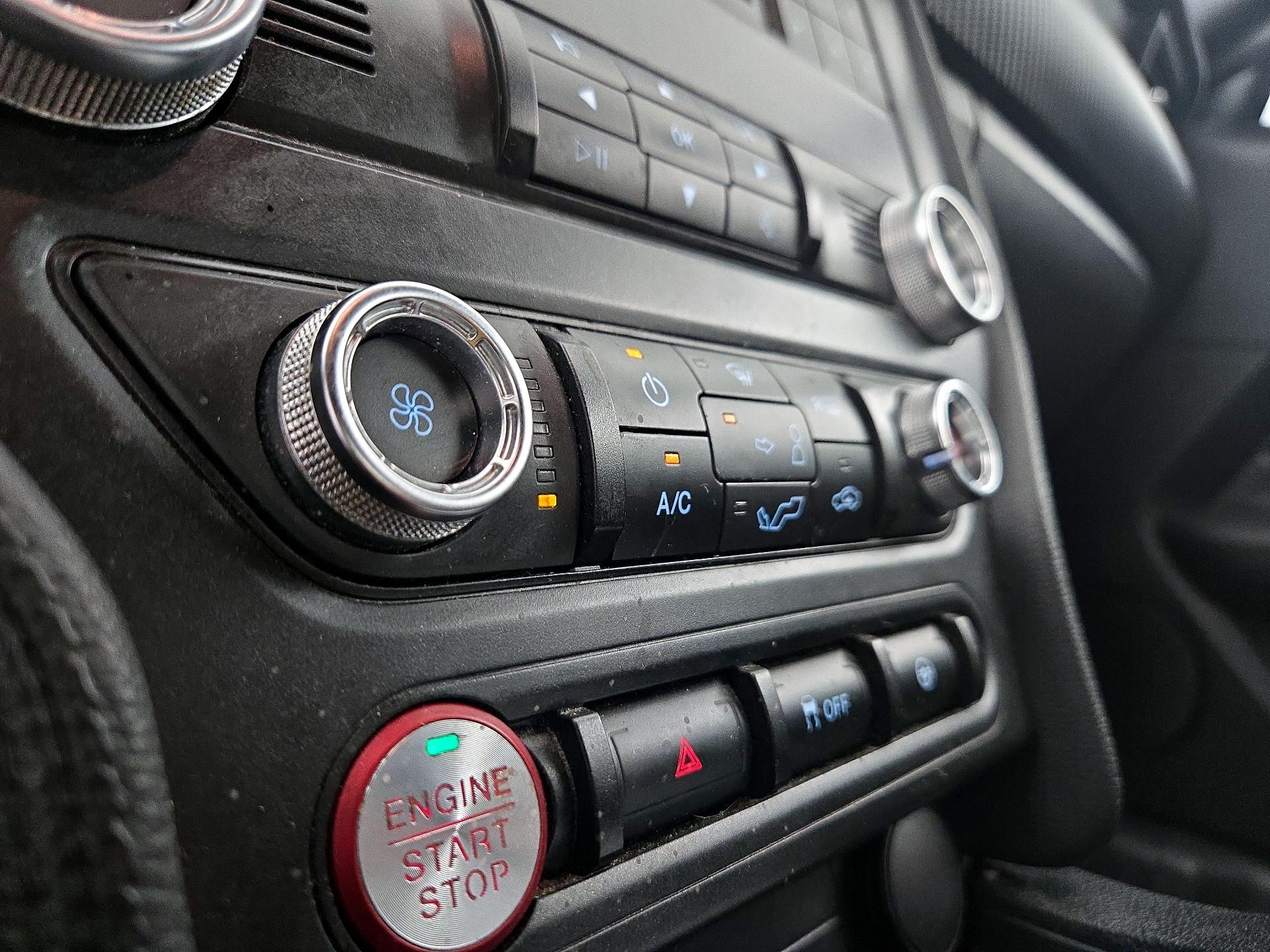 Thumbnail: 2019 Ford Mustang - 16