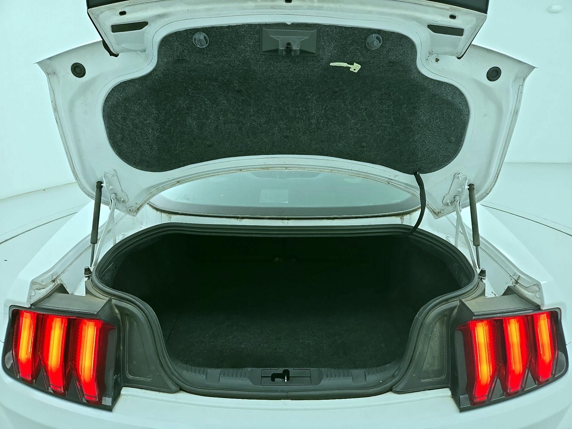 Thumbnail: 2019 Ford Mustang - 20