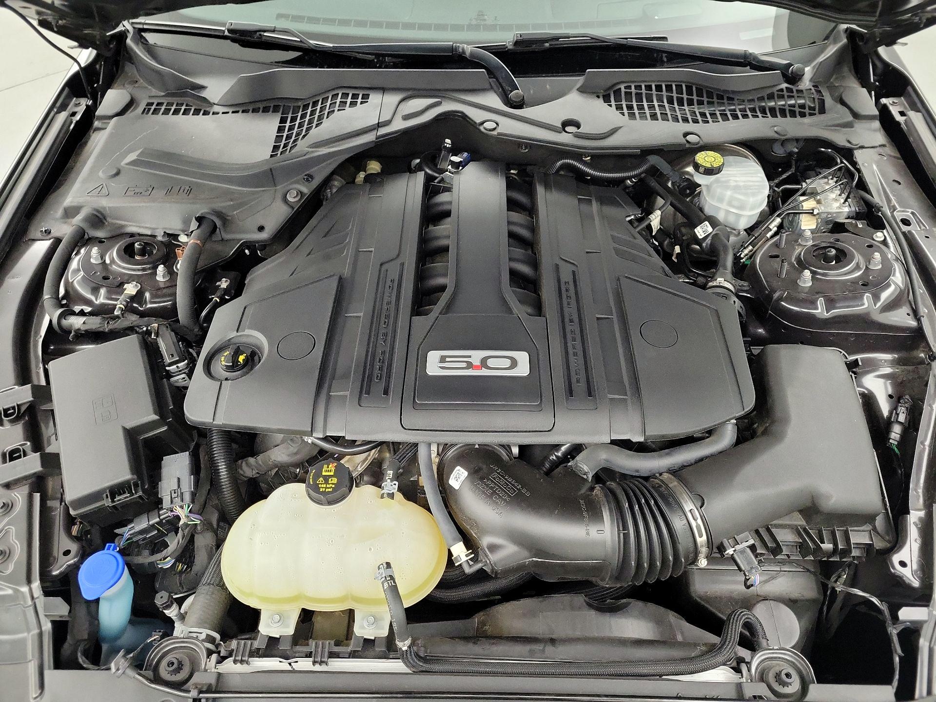 Thumbnail: 2022 Ford Mustang - 19