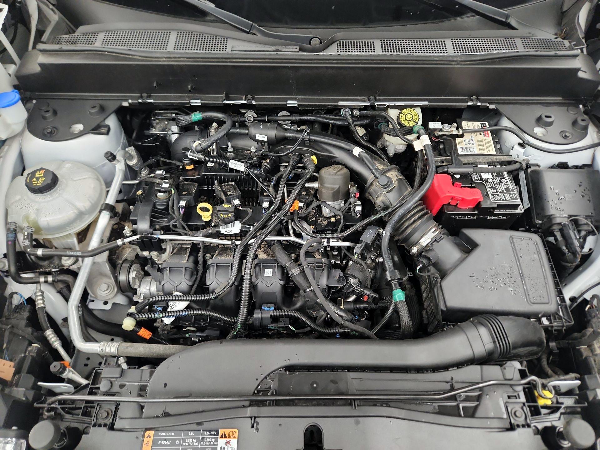 Thumbnail: 2022 Ford Maverick - 19