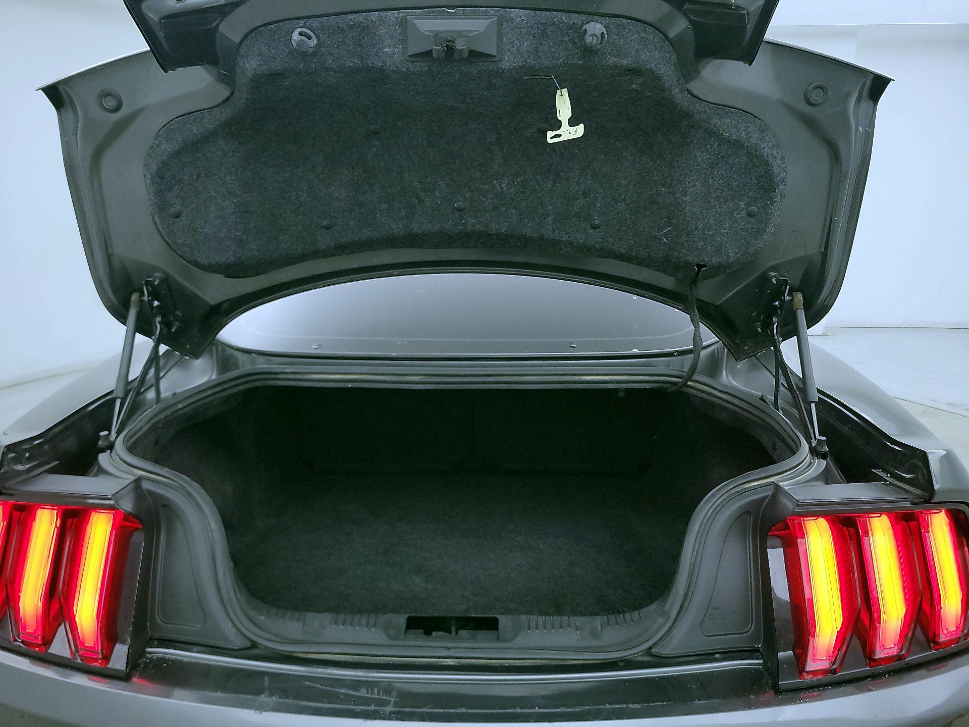 Thumbnail: 2018 Ford Mustang - 20