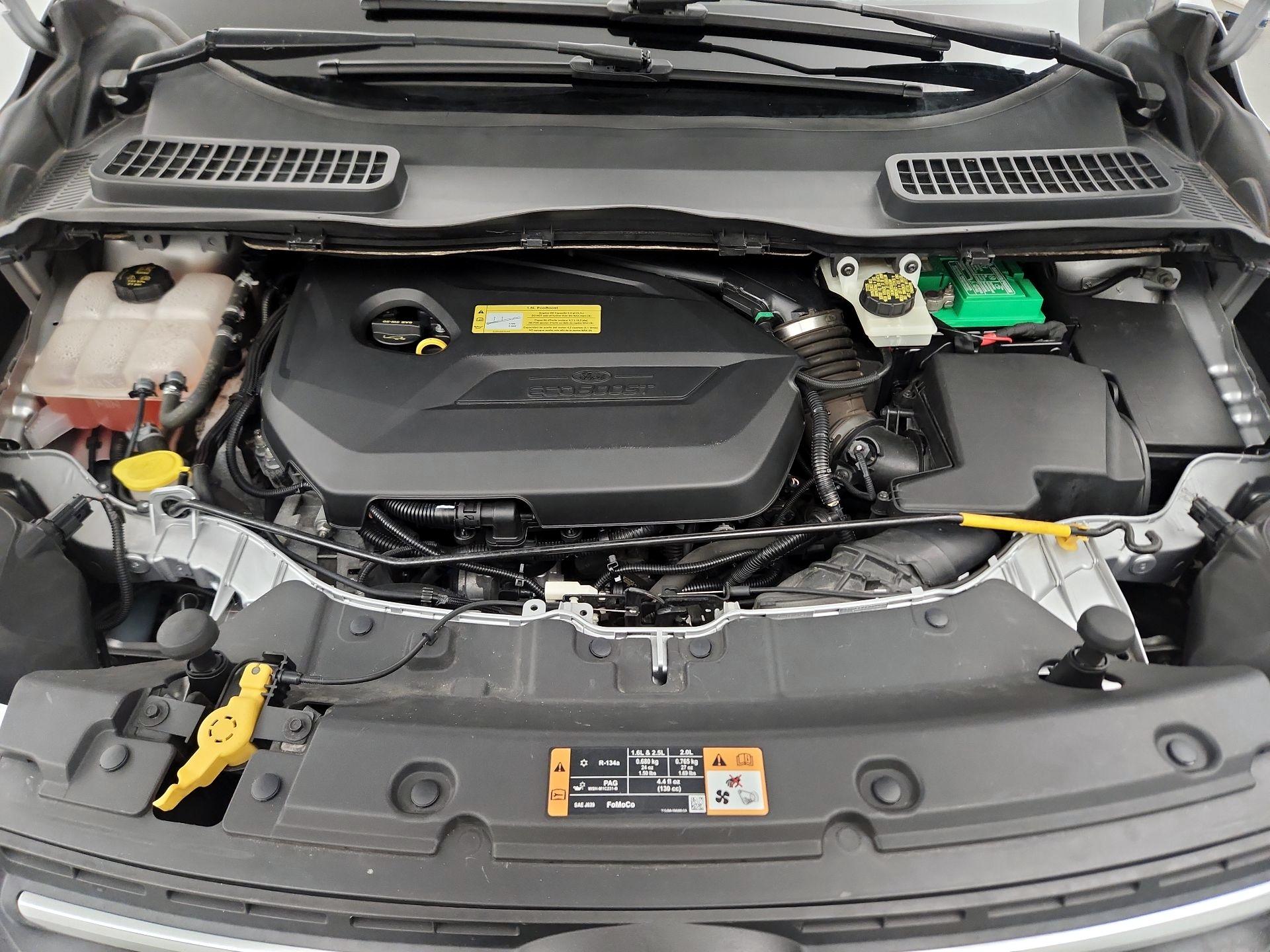 Thumbnail: 2014 Ford Escape - 19