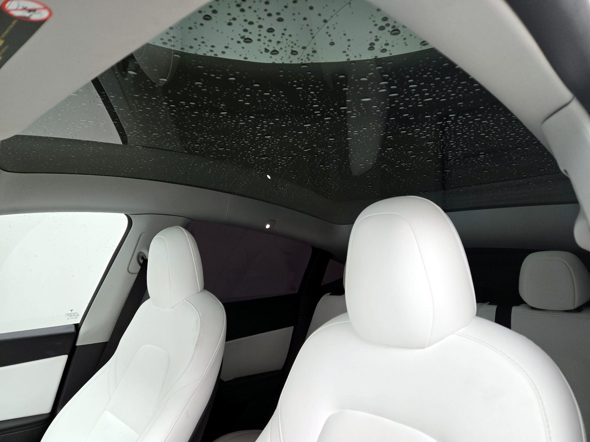 Thumbnail: 2021 Tesla Model Y - 18