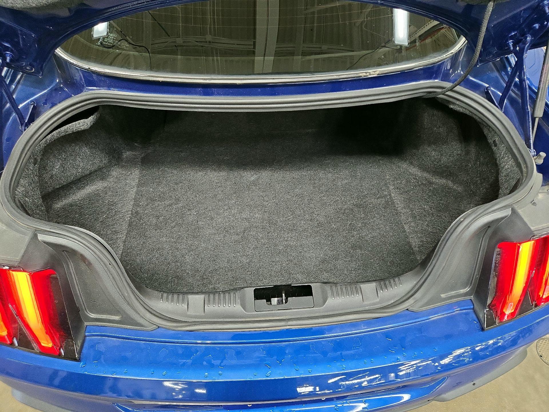 Thumbnail: 2022 Ford Mustang - 20