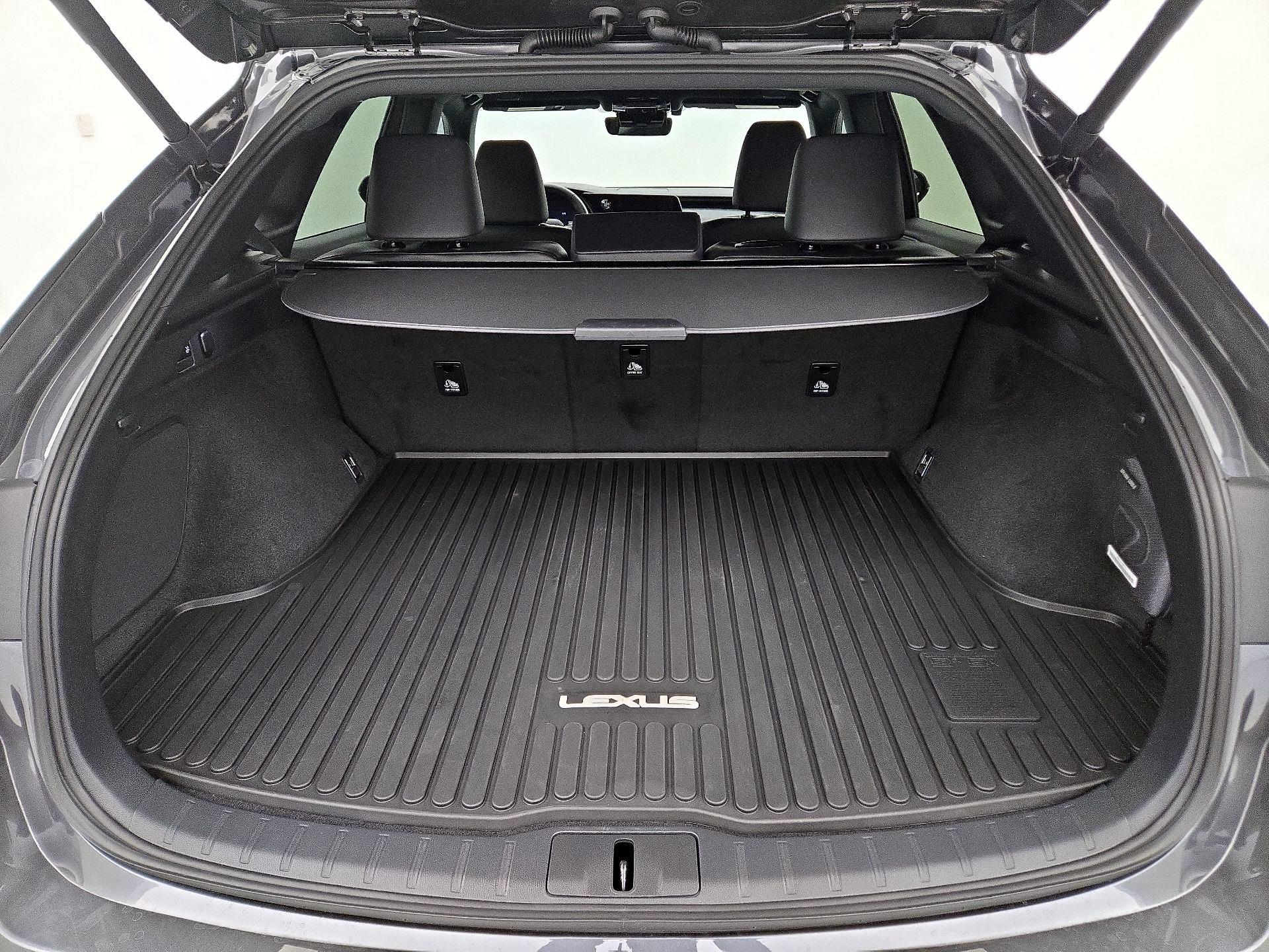 Thumbnail: 2025 Lexus RX - 19