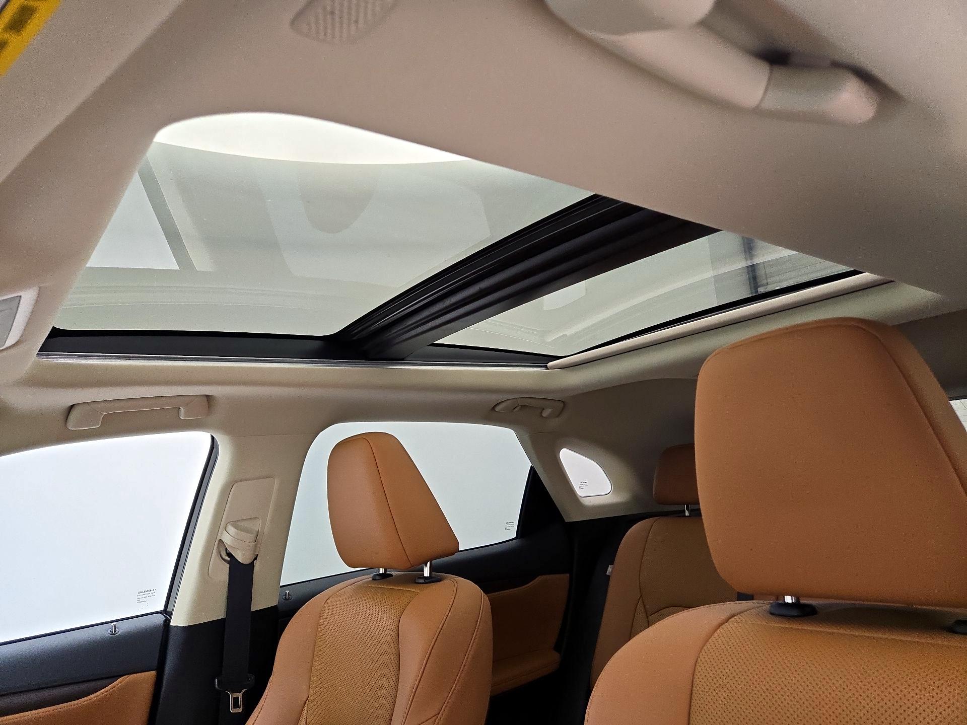 Thumbnail: 2022 Lexus RX - 20