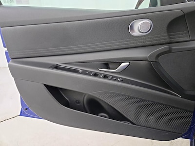 Driver Door Panel