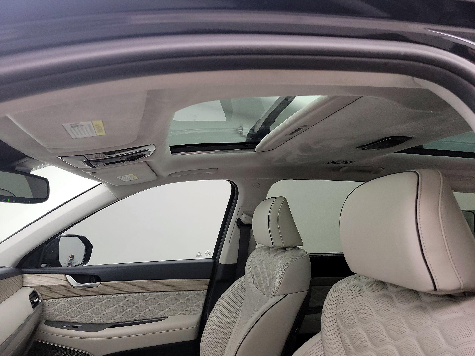 Thumbnail: 2021 Hyundai Palisade - 20