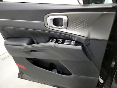 Driver Door Panel