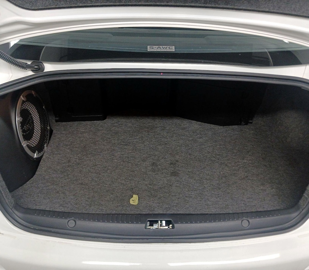 Trunk/Cargo (Seats Up)