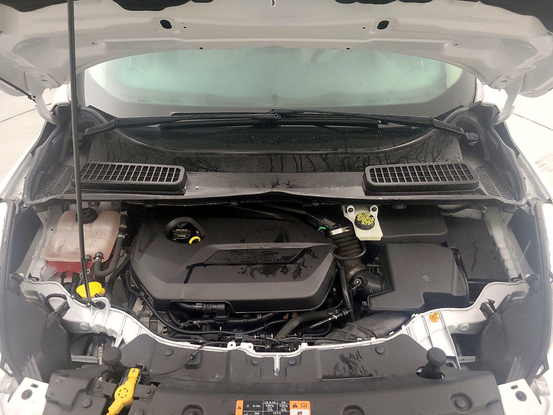 Thumbnail: 2014 Ford Escape - 20